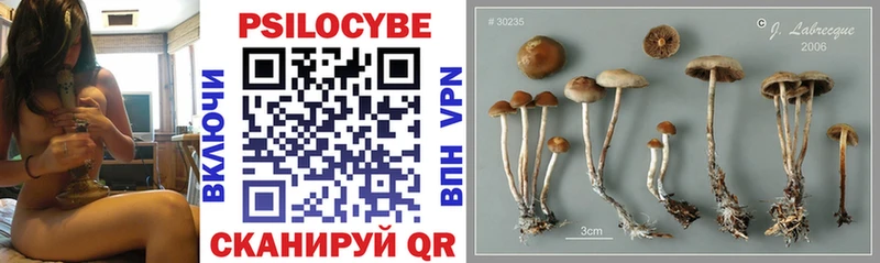 Галлюциногенные грибы Psilocybe  площадка наркотические препараты  Архангельск 