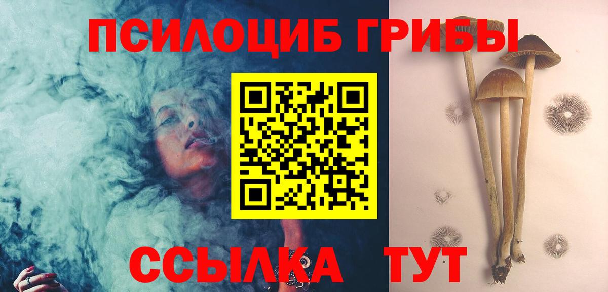 Псилоцибиновые грибы GOLDEN TEACHER  Вход с VPN  Архангельск 